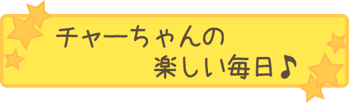 チャーちゃんの楽しい毎日♪